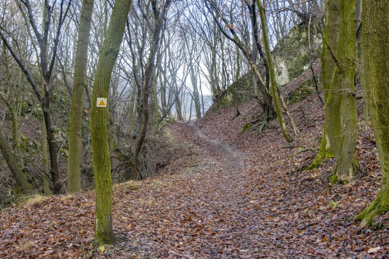 7 Fel a Basa- vagy Basina hegyre