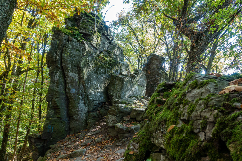7 solyom-kő