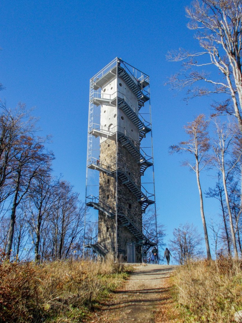 �������� �