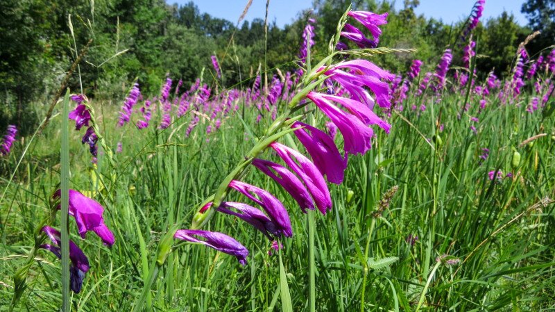 ������������������������������������������������������������������������������������������������������������������������������������������������������������������������������������������������������������������������������������������������������������������������