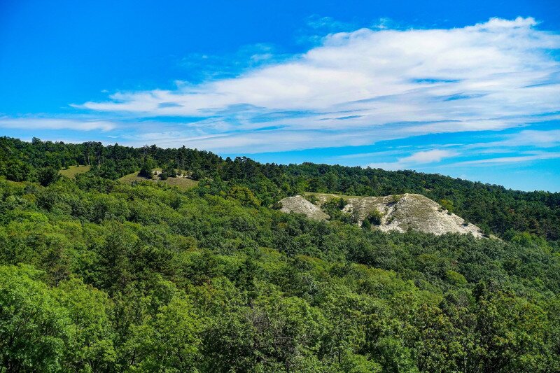 ����������������������������������������������������������������