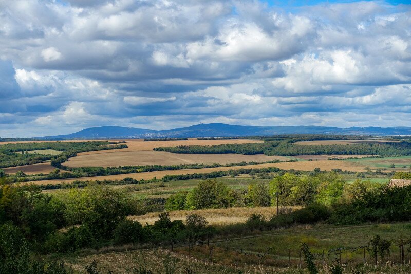 ����������������������������������������������������������������