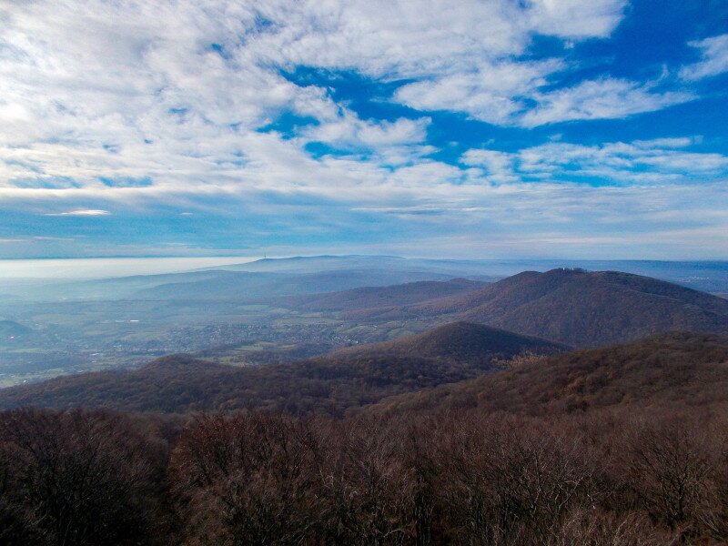 ��������                                                                                                                       �