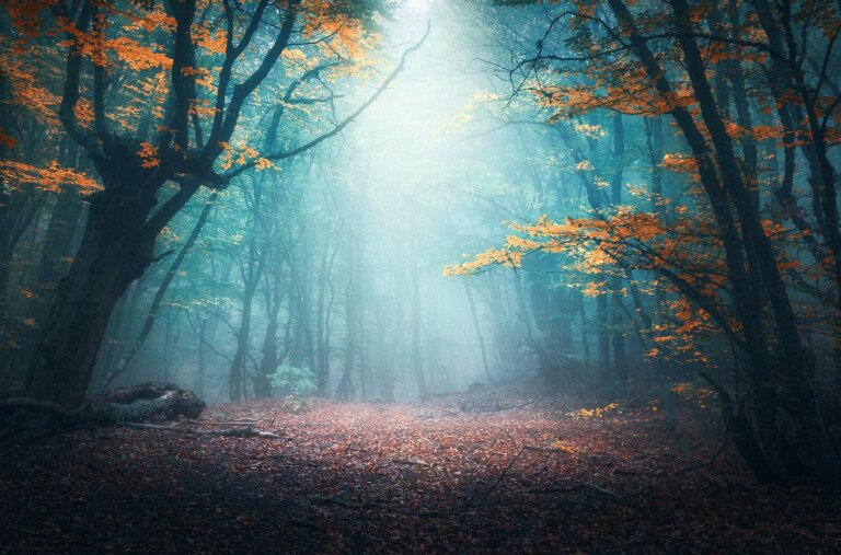 A ködös november misztikuma, és a mögötte álló tudomány