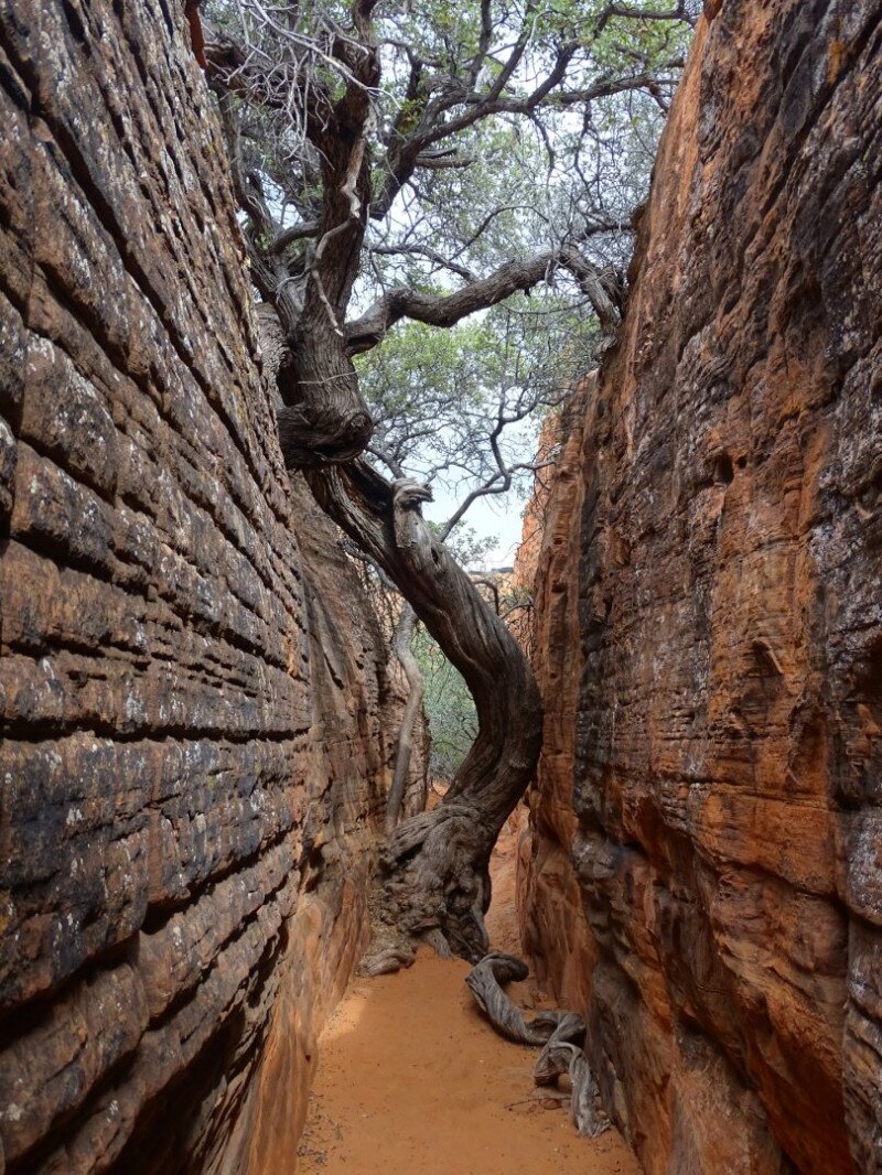 8_Fototema_egy_sziklahasadekban