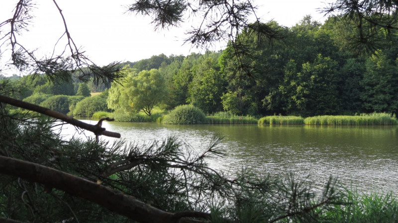 8 Kustánszegi-tó