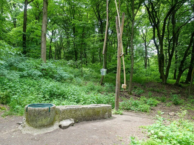 8_okoritato_DSC06330