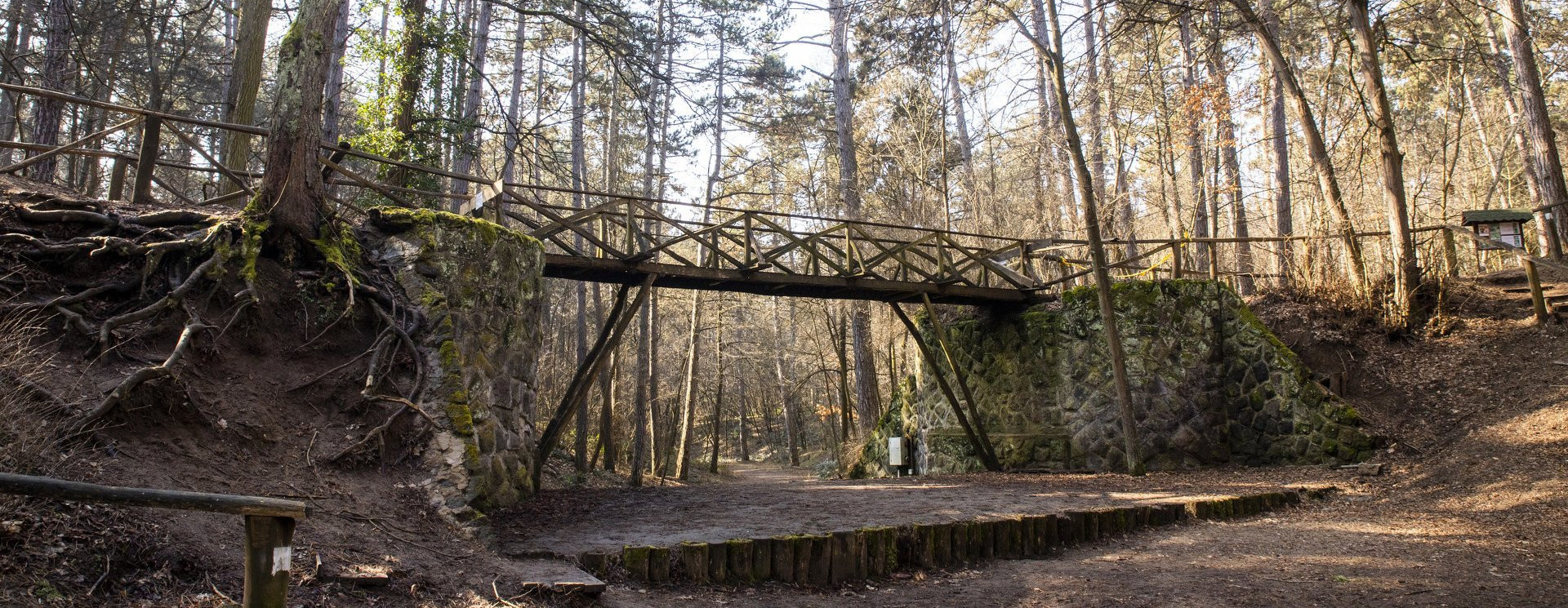 Gödöllői arborétum: 154 az 1-ben
