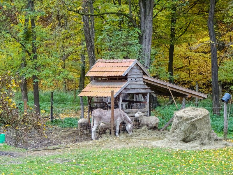 ����������������������������������������������������������������