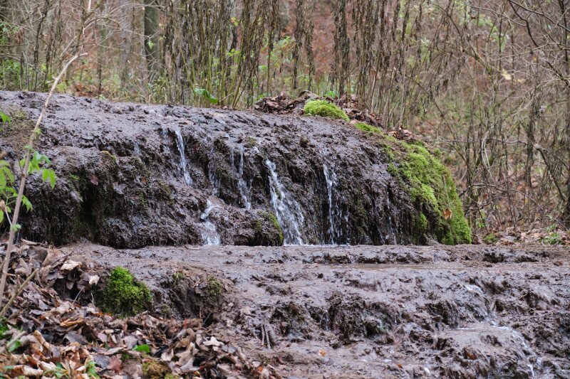 9880_XS108608_251113