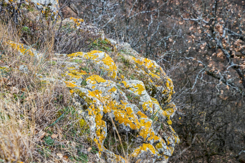 99 BÁRHOVÁ CSM_20230309_6210