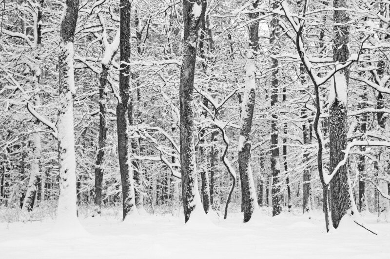 9cce37a780c5eca5a3ae894f214b58c9