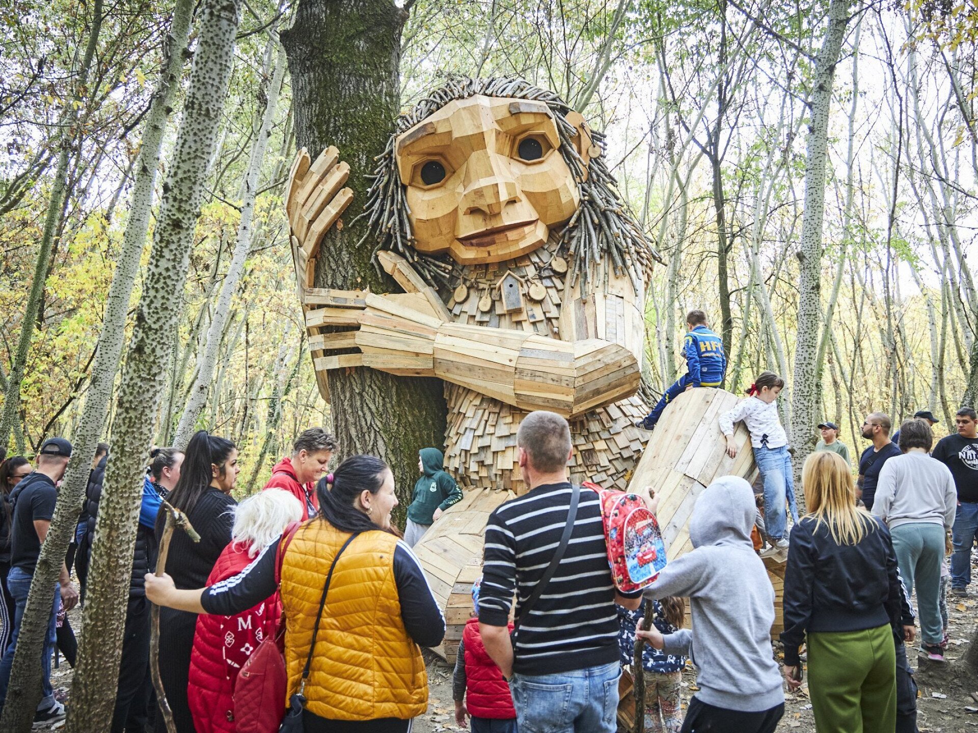 A vásárhelyi troll Normafává varázsolta a Kása-erdőt