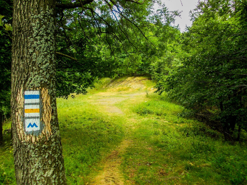 �������� �