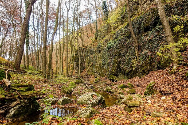 ����������������������������������������������������������������