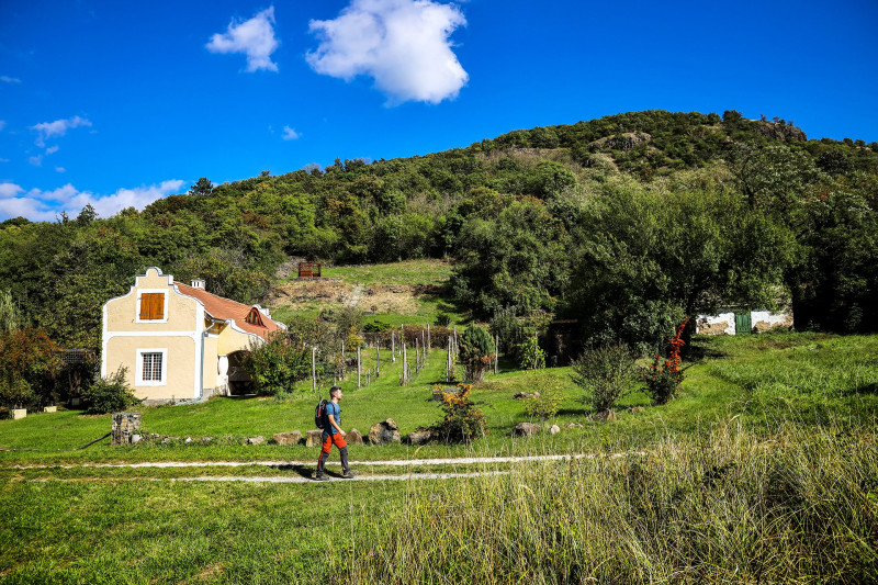 ������������������������������������������������������������������������������������������������������������������������������������������������������������������������������������������������������������������������������������������������������������������������