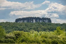 A Bakony „Négyszögletű kerek erdeje”