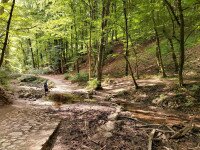 A Bakony vadregényes szurdokai