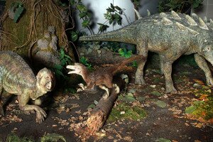 A bakonyi dinoszauruszoknak nem kellett tartaniuk a T. rextől