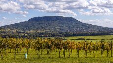 A balatoni „óriás” felfedezése