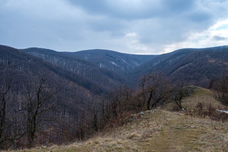  A Börzsöny északi völgyrendszere valódi vadon (Nagy-Mána)