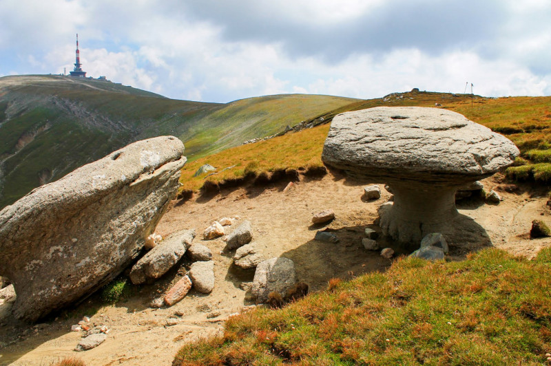 ������������������������������������������������������������������������������������������������������������������������������������������������������������������������������������������������������������������������������������������������������������������������