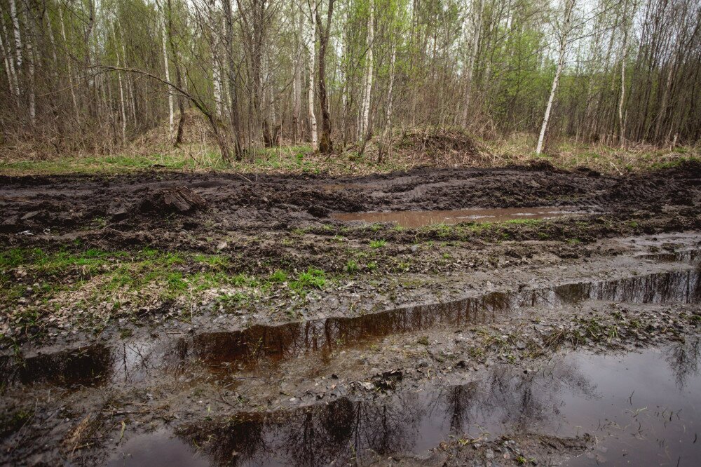 A dirty broken road in a forest in a swamp, through which you can not pass, a difficult road in Russia.