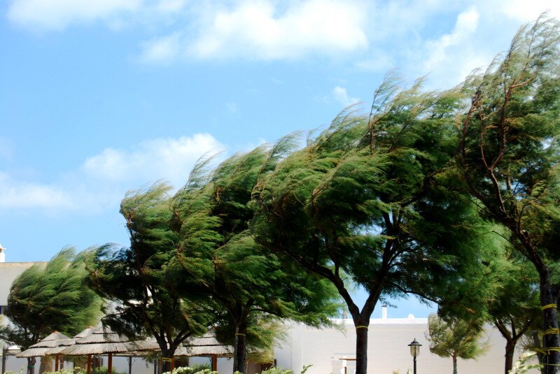 AdobeStock_114325380