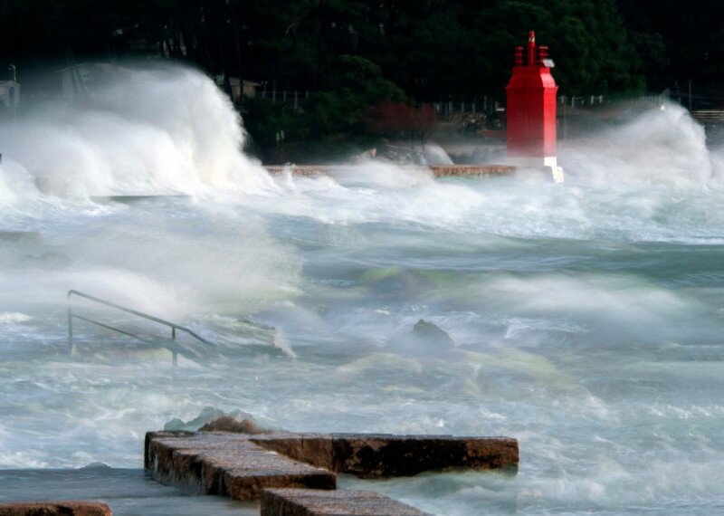 AdobeStock_1238614514