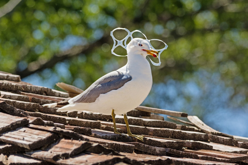 AdobeStock_125548521