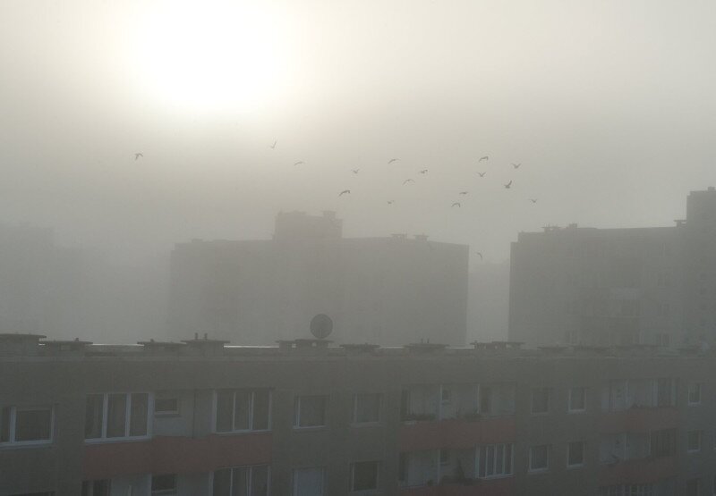 AdobeStock_135335839