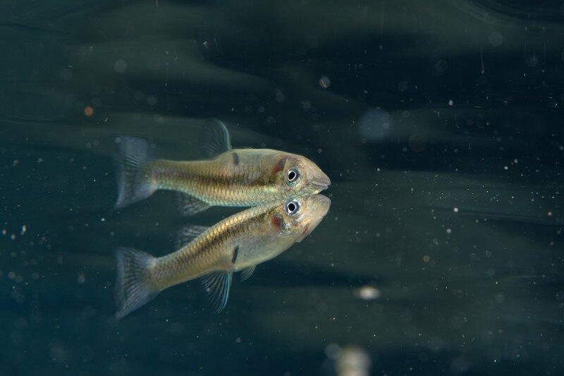 AdobeStock_1390984451