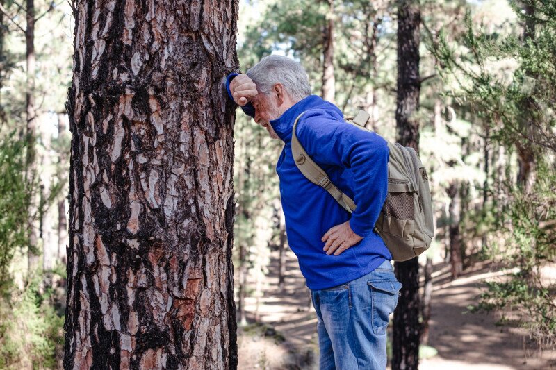 AdobeStock_1526722555