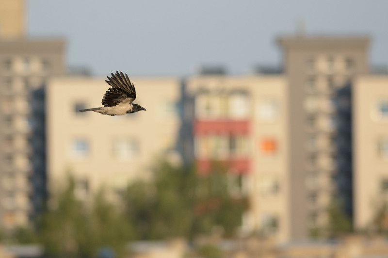 AdobeStock_158843668