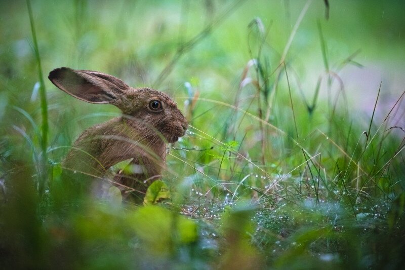 AdobeStock_1639602442