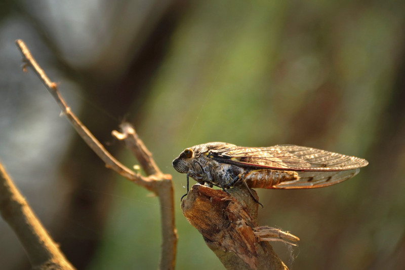 AdobeStock_168816038