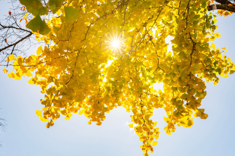 AdobeStock_1705296247