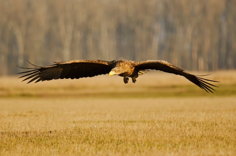 AdobeStock_181980586