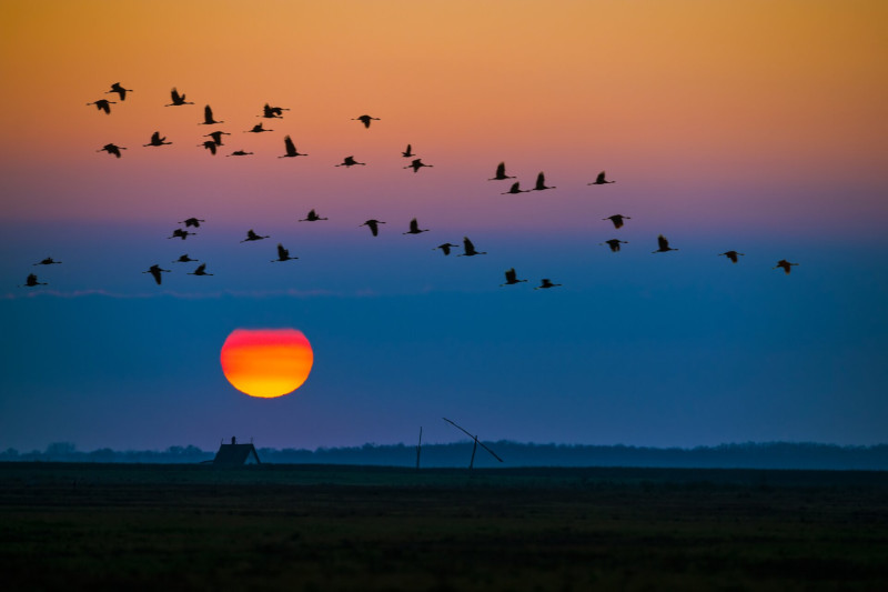 AdobeStock_184958454