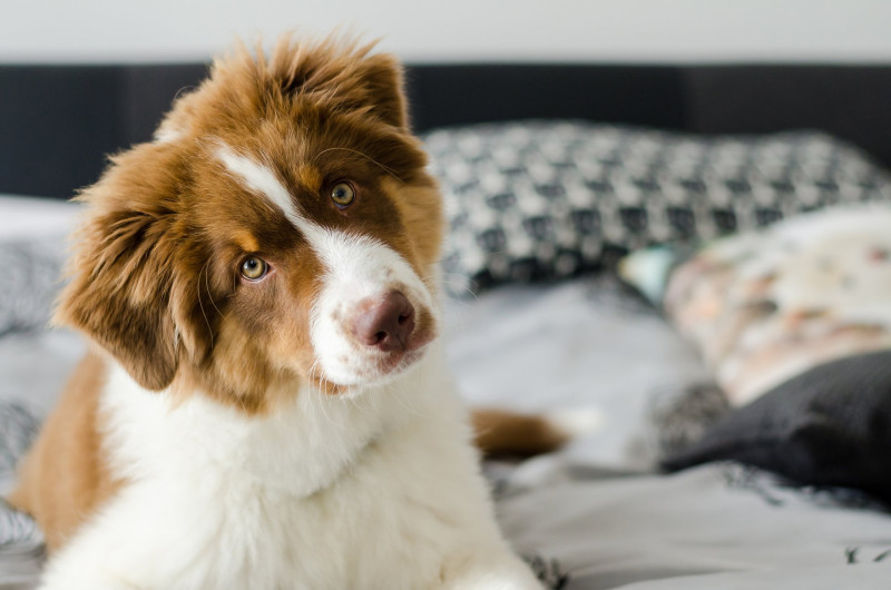 AdobeStock_193737372