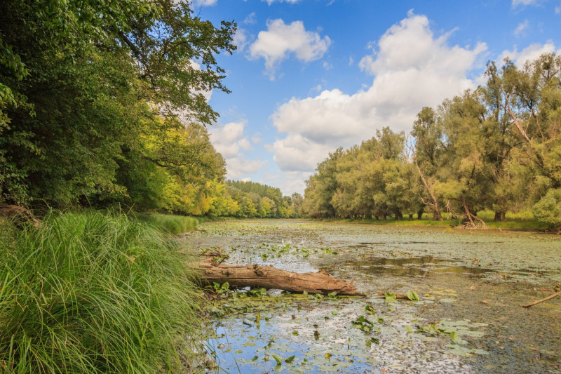 AdobeStock_214361187