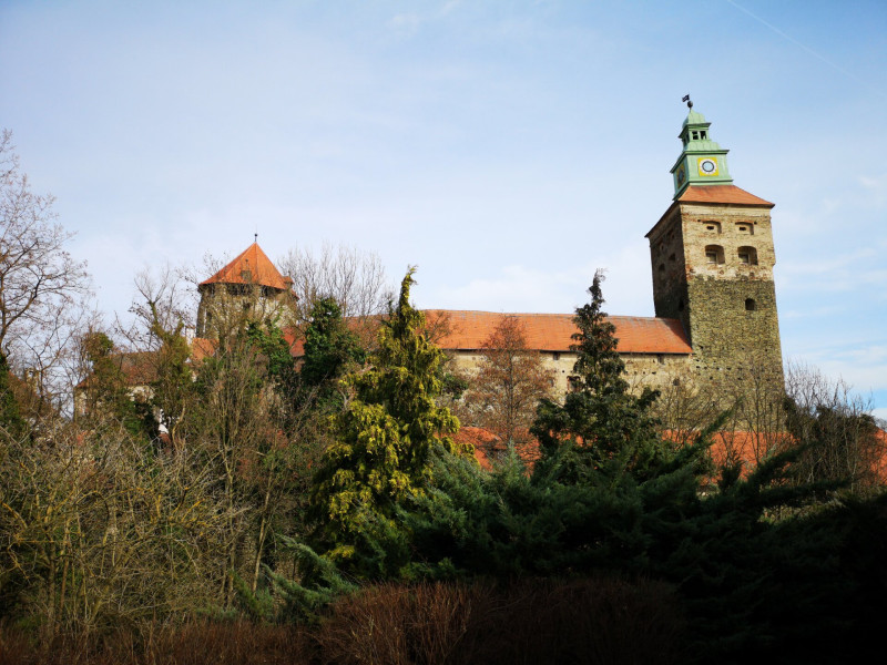 AdobeStock_253224203