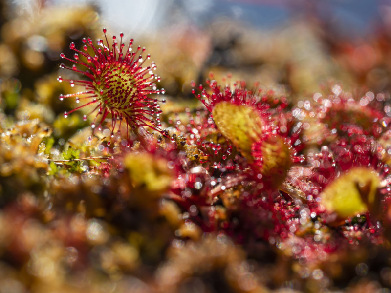 AdobeStock_274692712