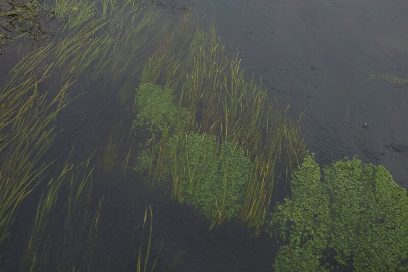 AdobeStock_283057245