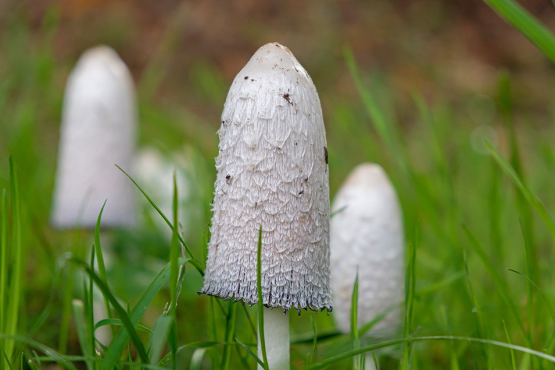 AdobeStock_293783374