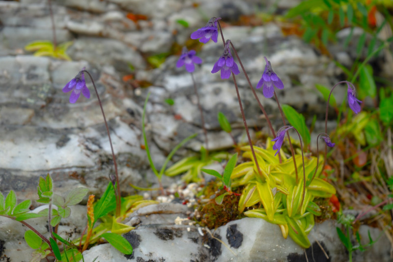 AdobeStock_308962194