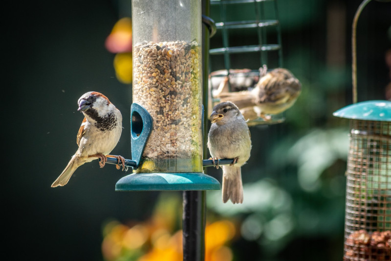 AdobeStock_312933300