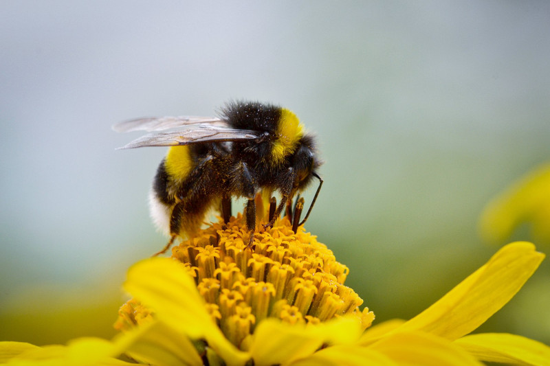 AdobeStock_322926653