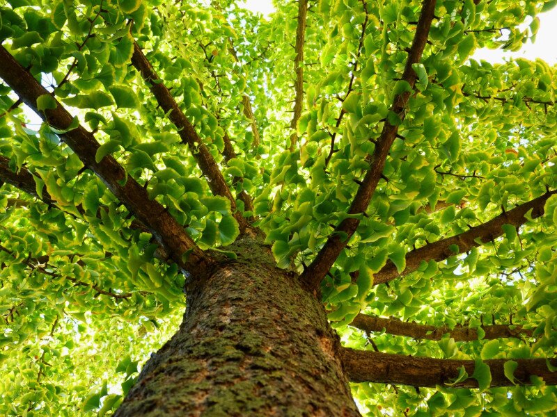 AdobeStock_328178258