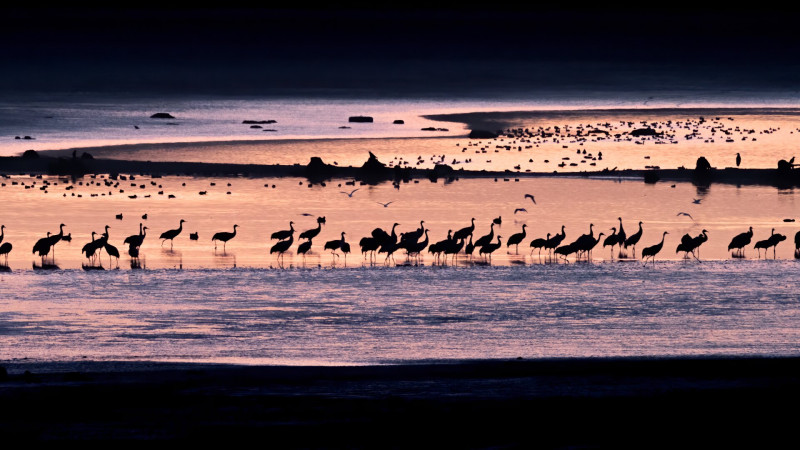 AdobeStock_362112418